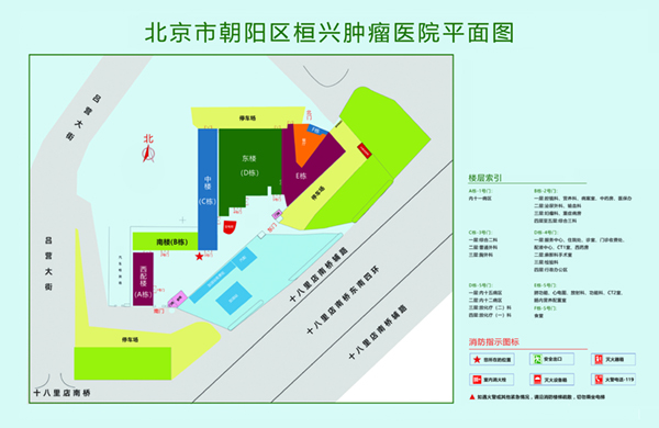 国产骚妇操逼北京市朝阳区桓兴肿瘤医院平面图